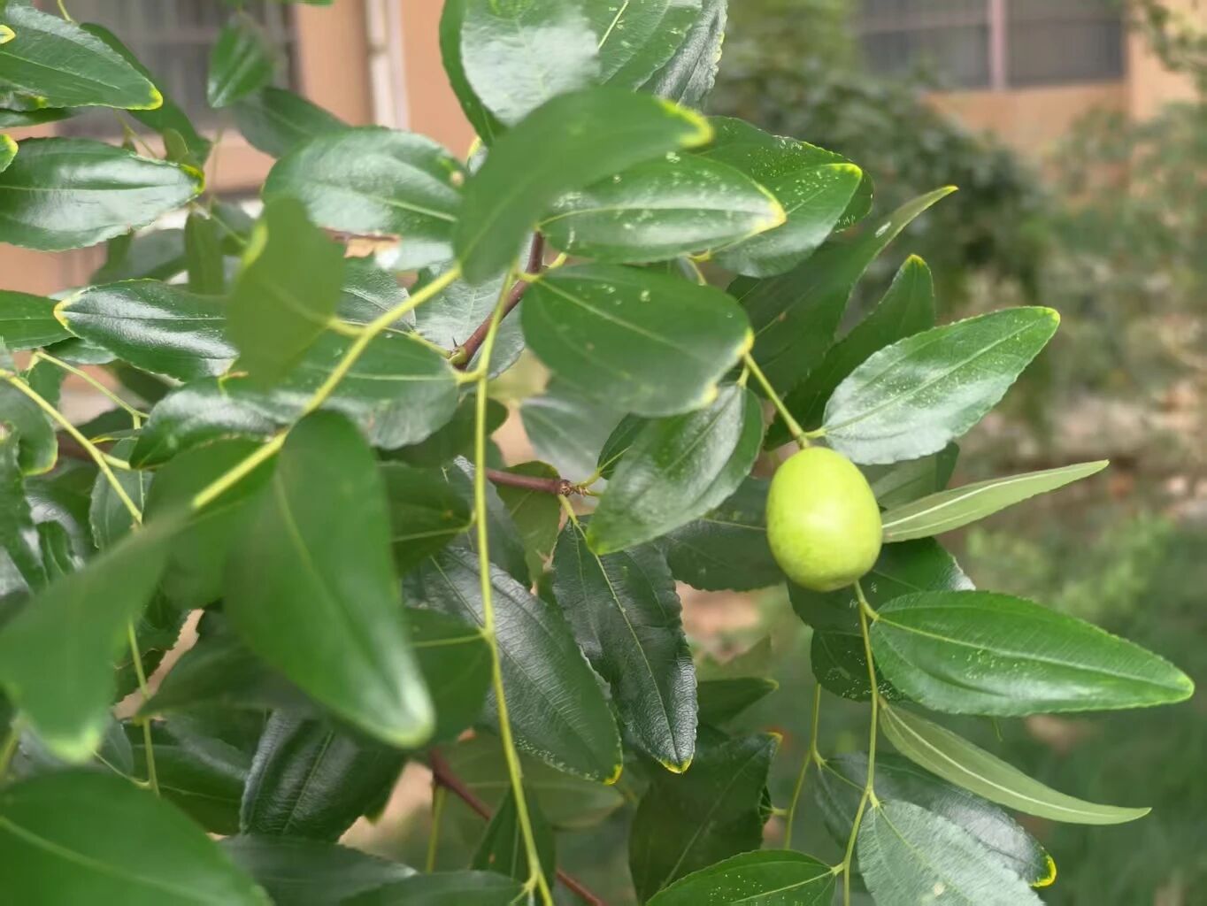 870cf6a4538dde23e0ebd69168086f9e 870cf6a4538dde23e0ebd69168086f9e