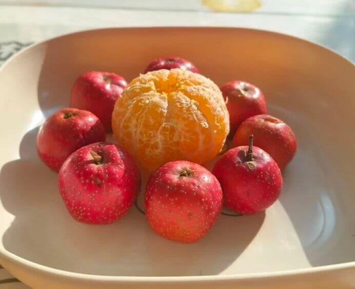 c102d1f80248cc73eeab5911ac4c05d0 c102d1f80248cc73eeab5911ac4c05d0