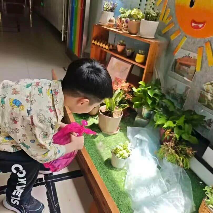 4b9790e1f72464f9839525b12c708732 4b9790e1f72464f9839525b12c708732