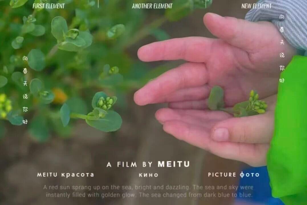 ebea4912a028eded85b0a2239e802d76 ebea4912a028eded85b0a2239e802d76